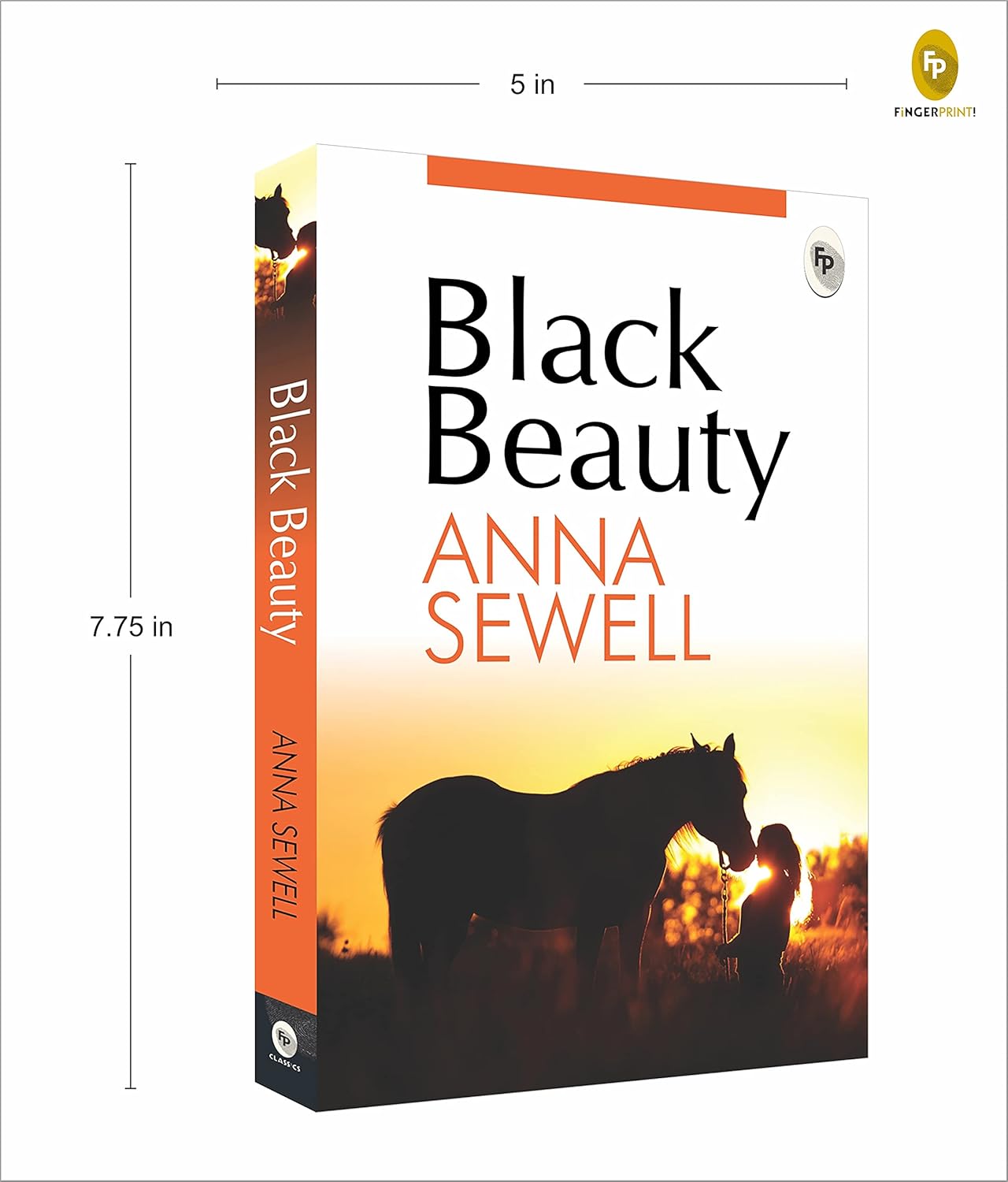 Black Beauty - Image 2