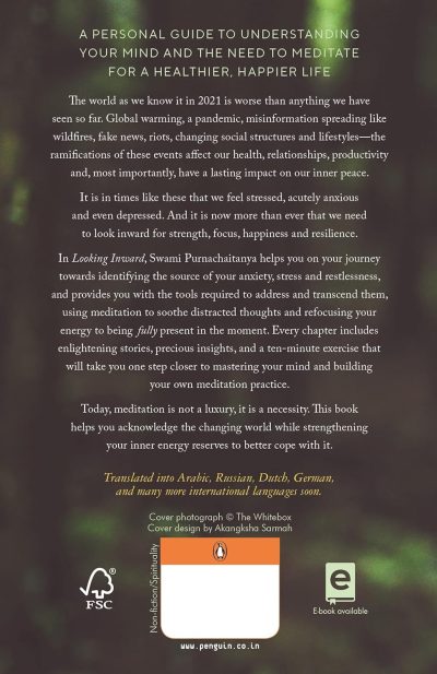 Looking Inward-Meditating to Survive in a Changing World - Image 2