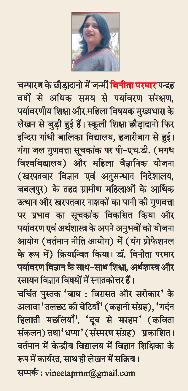 Dharti Ka Nyay by Kushagra Rajendra and Vineeta Parmar - Image 4