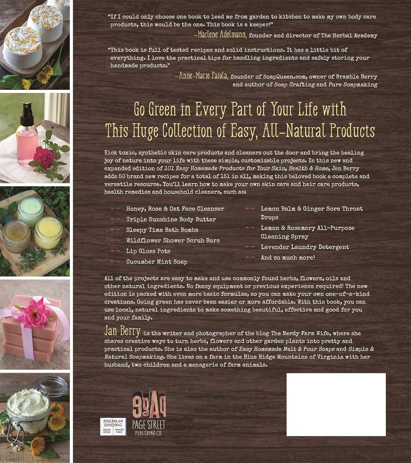 The Big Book of Homemade Products for Your Skin, Health and Home - Image 2