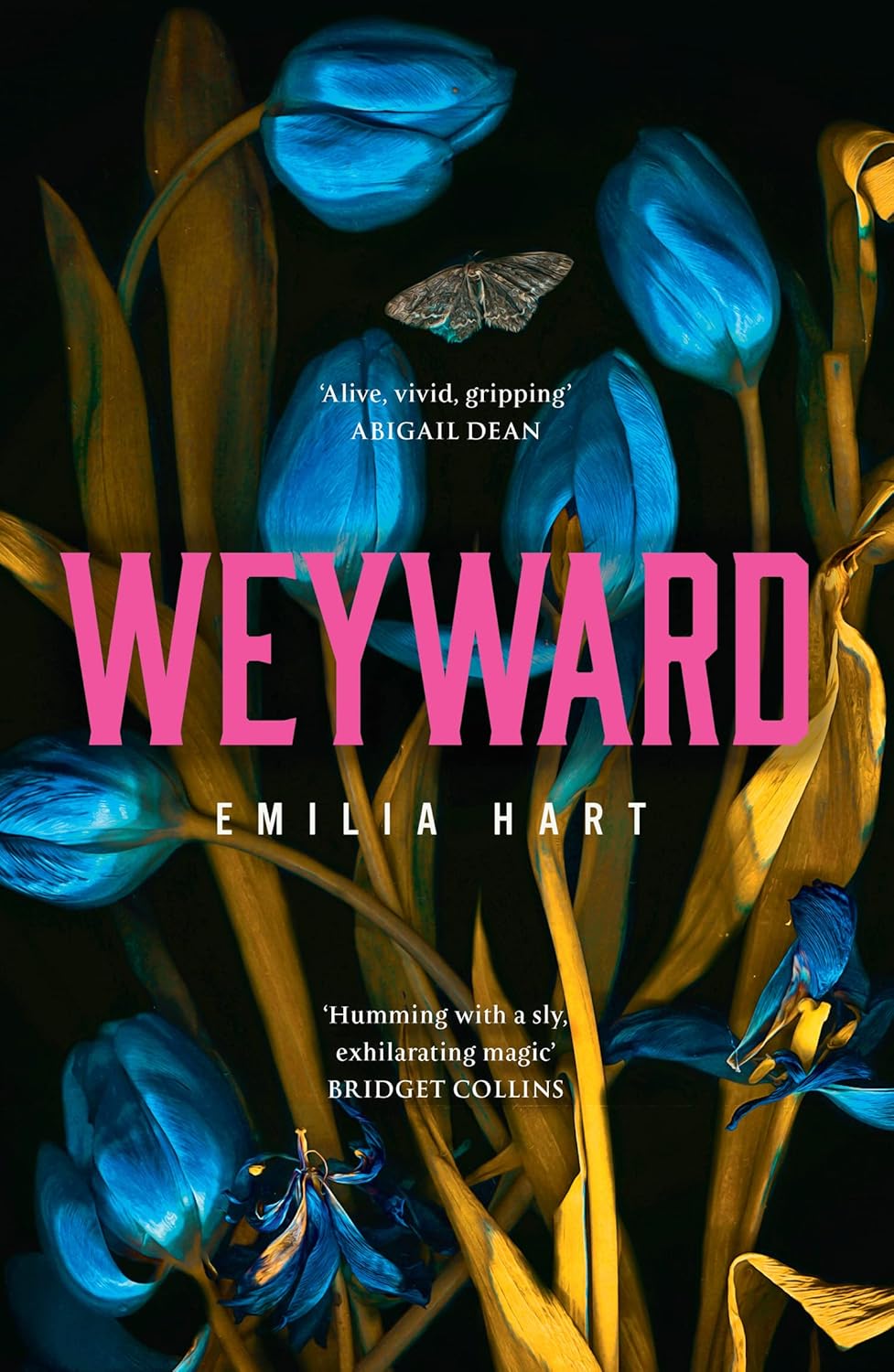 WEYWARD by Emjlia Hart - Image 1