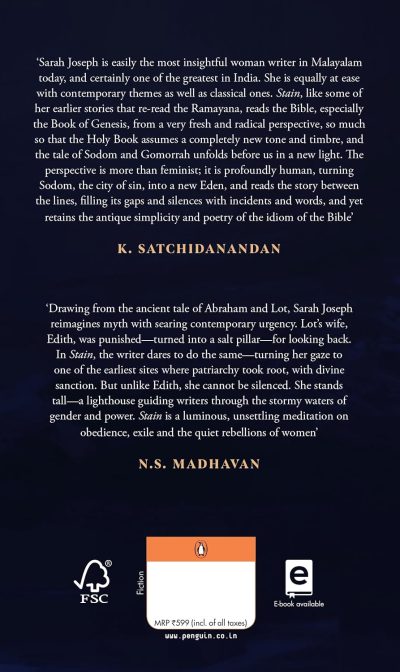Stain by Sarah Joseph (Author), Sangeetha Sreenivasan (Translator) - Image 2