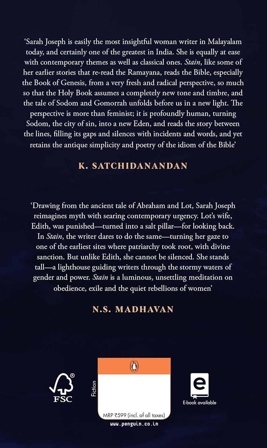 Stain by Sarah Joseph (Author), Sangeetha Sreenivasan (Translator) - Image 2